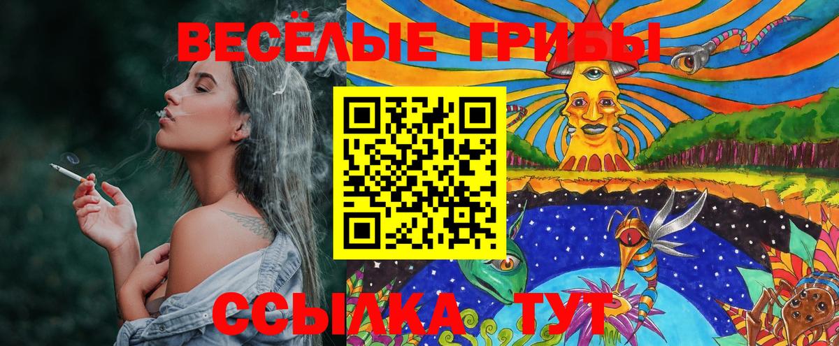 Новоалександровск  Галлюциногенные грибы ЛСД  Вход с VPN 